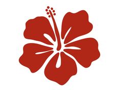 a red flower on a white background with the word hilo written below it in black