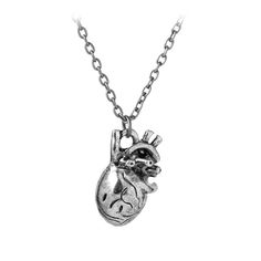 PRICES MAY VARY. Title: Meiligo® Fashion Doctor Nurse Gift Human Anatomy Necklace Jewelry Just breathe letter Anatomical Lung Heart Charm Necklace. Product Type: Departments > Women > Jewelry > Necklaces > Pendant Necklaces Human Heart Necklace, Anatomical Heart Pendant, Silver Necklace For Men, Anatomical Heart Necklace, Silver Clothing, Caged Necklace, Heart Charm Necklace, Choker Pendant, Mens Silver Necklace