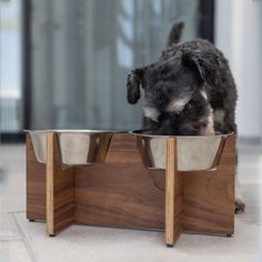 a dog eating out of a metal bowl