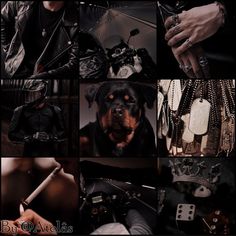 F2U, repost, make adopt or oc inspired by it etc Images founded on Pinterest Biker Moodboard, Animal Mood Board, Animal Moodboard, Dog Moodboard, Halloween Moodboard, Black Moodboard, Character Moodboard, Roleplay Ideas