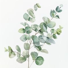 a plant with green leaves is shown against a white background in this artistic photo, it appears to be painted on paper