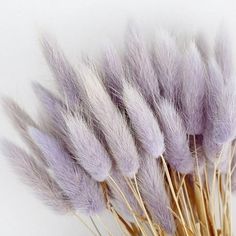 some very pretty purple flowers with long stems in a glass vase on a white surface