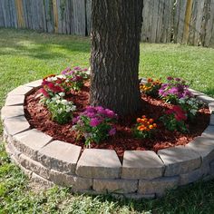 a flower bed around a tree in the yard