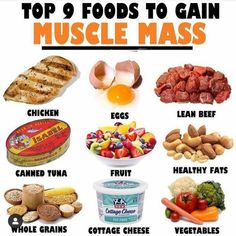 Weight Gain Supplements, Gain Muscle Mass, Muscle Building Diet, Bodybuilding Diet