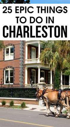 two horses pulling a carriage down the street in front of a house with palm trees