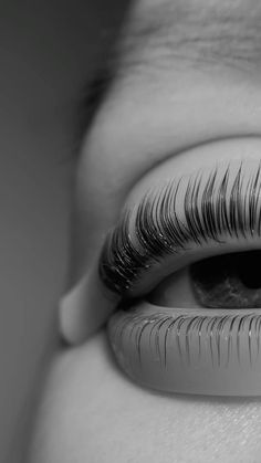 Lamination Eyebrows, Eyebrows Lamination, Lash Lamination, Eye Lash Art, Lash Lift Training, Eye Lash Design, Eyebrow Lamination