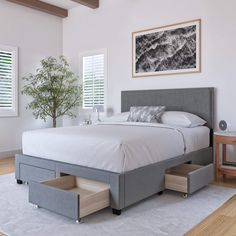 a white bed with drawers underneath it and a plant in the corner next to it