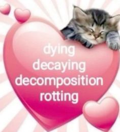 a cat laying on top of a heart with the words dying decaying decompositionion rotting