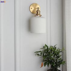 a potted plant sitting next to a light on the wall in front of a white door