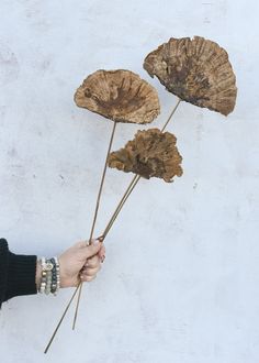 three pieces of wood are being held by a person's hand with their fingers