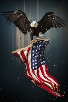 an eagle is landing on the american flag