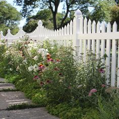 a white picket fence surrounded by flowers and greenery