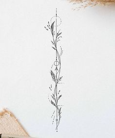 an ink drawing of a plant on a piece of paper