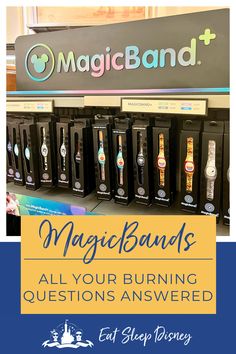 the magicbands are all you've been looking for