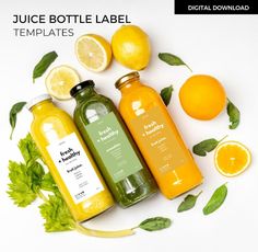 juice bottle label templates with lemon, orange and mint on white background surrounded by green leaves