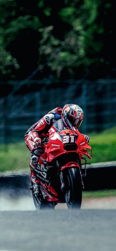 Pedro Acosta Red Bull GasGas Tech3 Italian Grand Prix 2024 MotoGP Wallpaper Pedro Acosta, Italian Grand Prix, Motogp, Red Bull, Grand Prix, Red