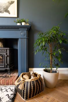 a living room with a fireplace and potted plants on the floor next to it