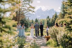 a group of people standing on top of a dirt road next to trees and bushes