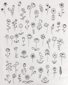 a bunch of flowers drawn on top of a white sheet