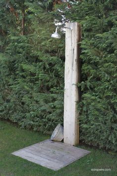 a tall wooden pole sitting next to a lush green forest