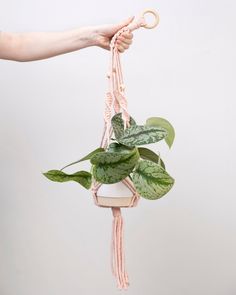 a person holding a plant in a pot with pink string hanging from it's side