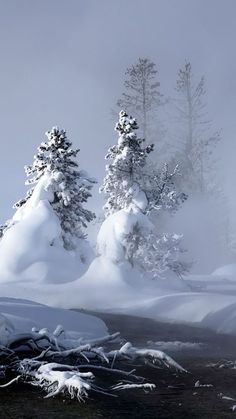 snow covered trees and water in the middle of a snowy landscape with low lying clouds