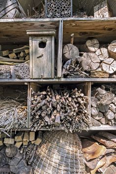 the shelves are filled with different types of logs and other woodworking items, including birdhouses