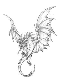 a black and white drawing of a dragon