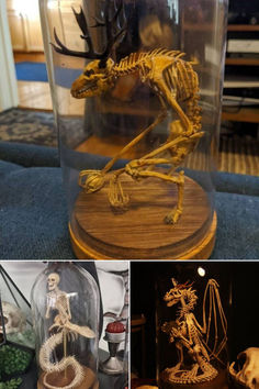 there are three different pictures of skeletons in glass cases on the floor and one has a skeleton inside