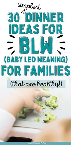 30 Easy Baby Led Weaning Dinner Ideas for Family Meals - Minnesota Momma Dinners For The Whole Family, Baby First Solid Food, Dinner Ideas For Family, 7 Month Baby, 7 Month Old Baby, Super Easy Dinner, Weaning Recipes