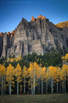 the mountains are covered in yellow and green trees