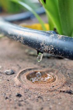 a close up of a water drop on the ground