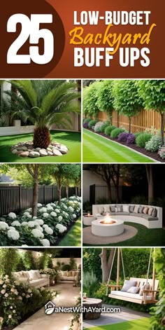 the 25 best low budget backyard landscaping ideas