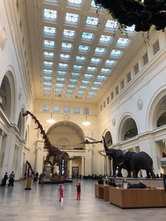 an elephant and giraffe exhibit in a museum