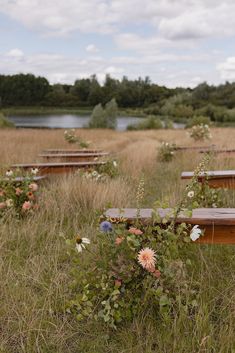 there are many benches in the field with flowers on them