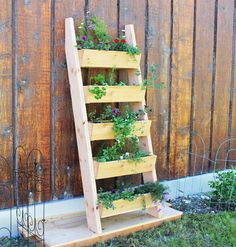 a wooden ladder with plants growing on it