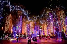 people are standing in the middle of an outdoor area with lights all over it and trees