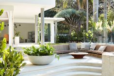 a living room filled with lots of plants and furniture