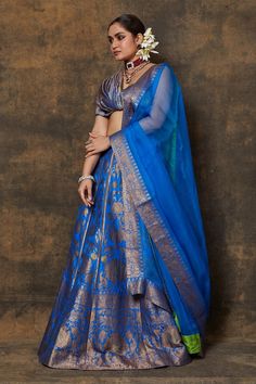 Blue banarasi silk lehenga with woven zari floral jaal motifs. Comes with dupatta and unstitched blouse fabric. - Aza Fashions Cape Lehenga, Kurta Lehenga, Lehenga Skirt, Tarun Tahiliani, Silk Lehenga, Bridal Lehenga, Blouse Fabric, Modern Bride, Blouse Piece