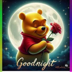 a teddy bear holding a rose in front of a full moon with the words goodnight