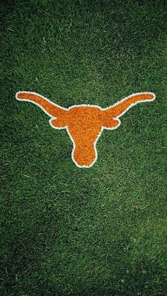 the texas longhorns logo is painted on grass