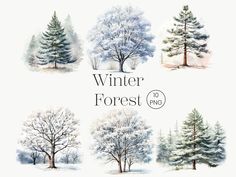 watercolor winter forest trees set