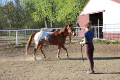 a woman leading a brown and white horse