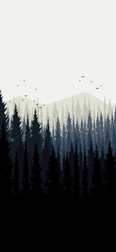 a forest filled with lots of trees and birds flying over the top of it on a cloudy day