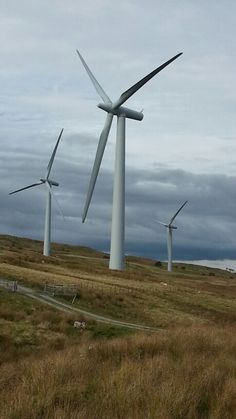 several wind turbines in the middle of a grassy field