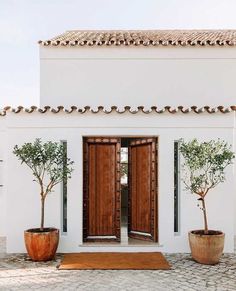 two potted trees sit in front of a white building with wooden doors and windows