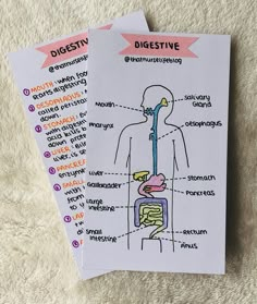 two cards with diagram of the human body and digest areas on each card are shown