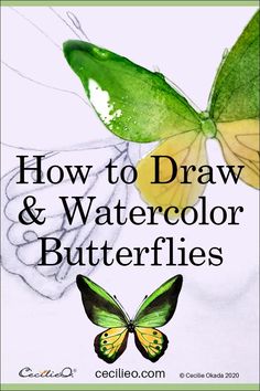 how to draw and watercolor butterflies