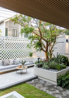 an outdoor living area with couches, tables and plants on the grass in front of a white fence