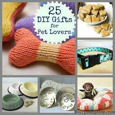 25 diy gifts for pet lovers that are easy to make and great for the dog